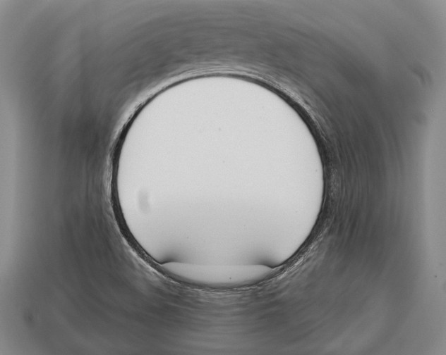 X0000112911508200909211020