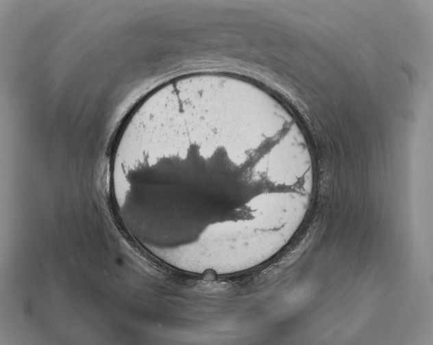 X0000112911509200909211020