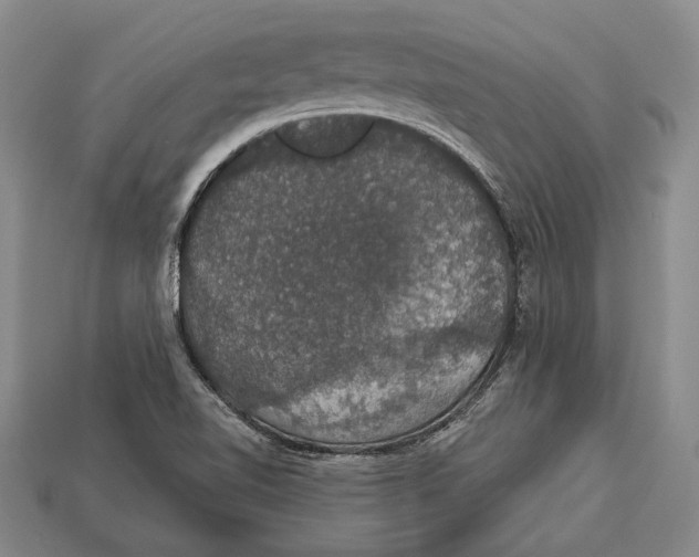 X0000112911510200909211020