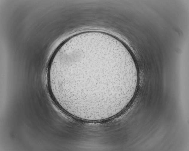 X0000112911511200909211020