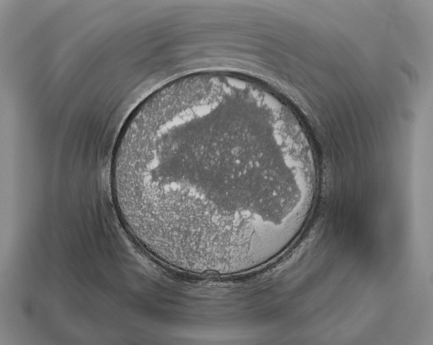 X0000112911513200909211020