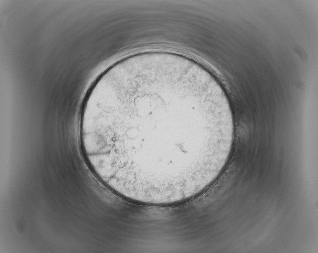 X0000112911514200909211020