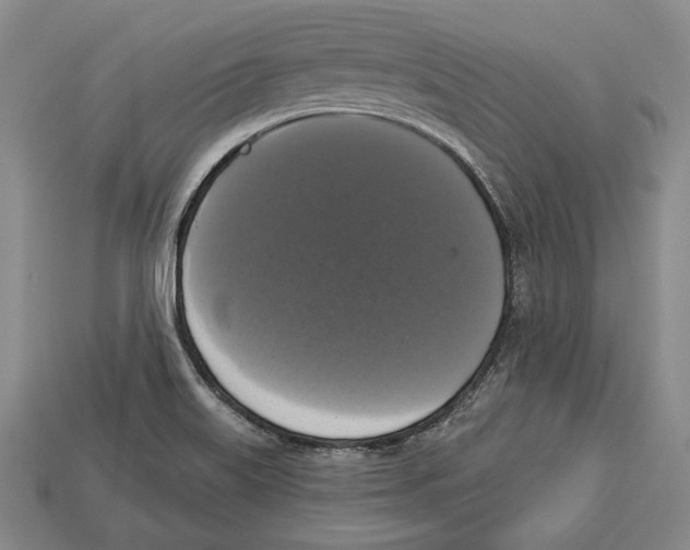 X0000112911515200909211020