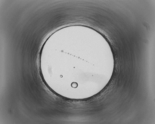 X0000112911516200909211020