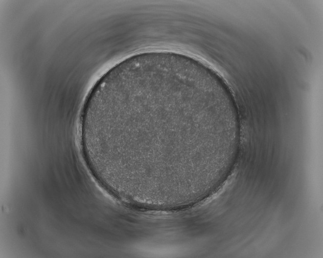 X0000112911517200909211020