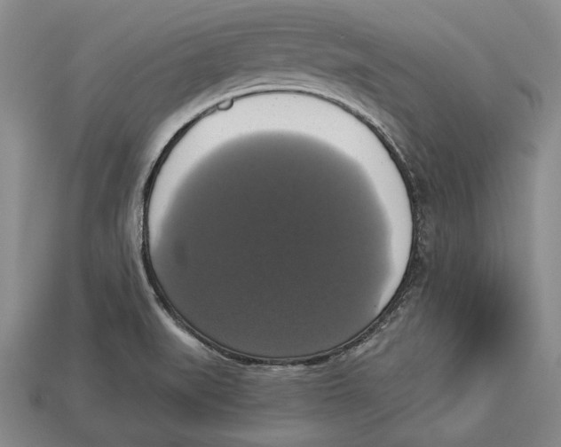 X0000112911519200909211020