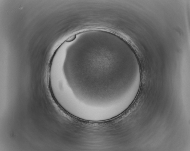 X0000112911520200909211020