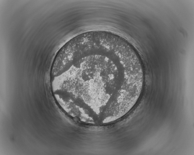 X0000112911521200909211020