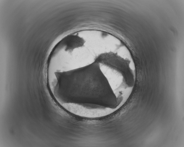 X0000112911522200909211020