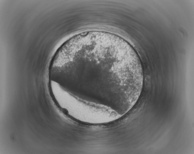 X0000112911523200909211020