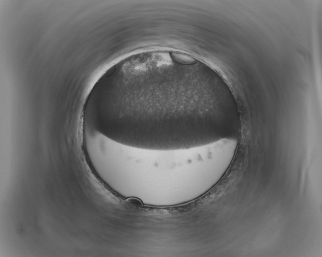 X0000112911524200909211020