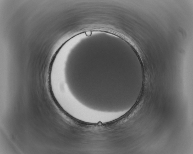 X0000112911525200909211020