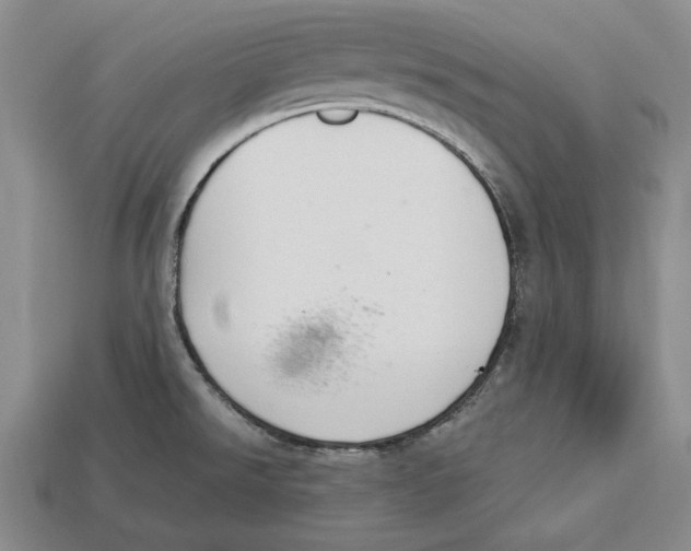 X0000112911526200909211020