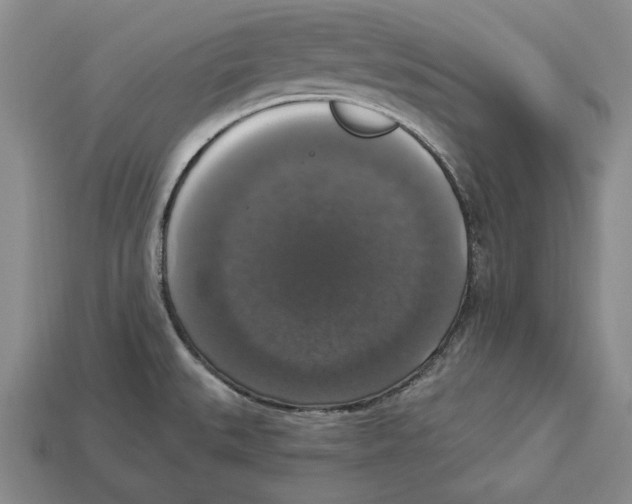 X0000112911527200909211020