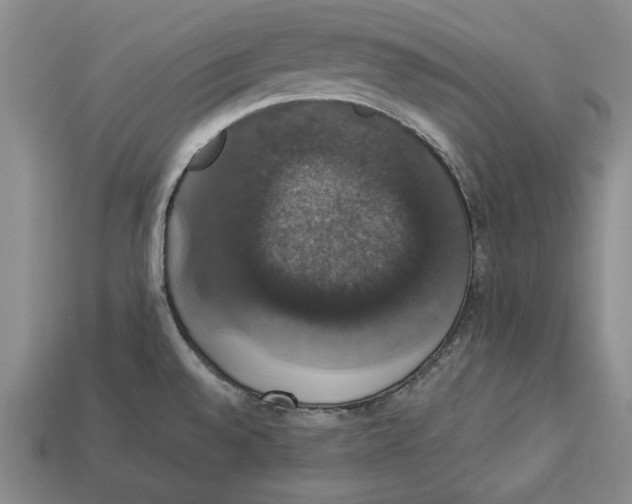 X0000112911528200909211020