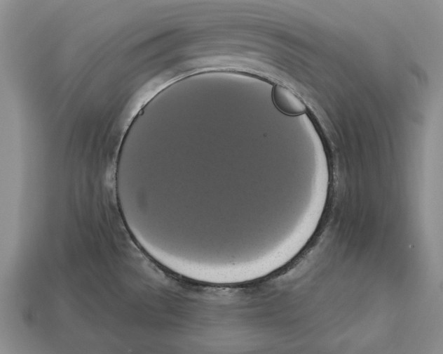 X0000112911529200909211020