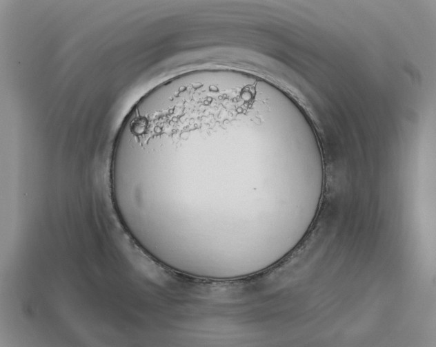 X0000112911530200909211020