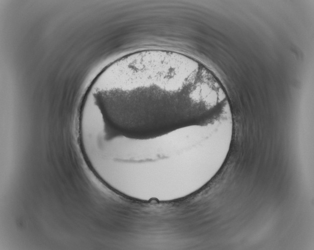 X0000112911531200909211020