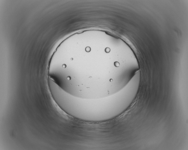 X0000112911532200909211020