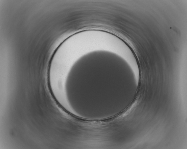 X0000112911533200909211020