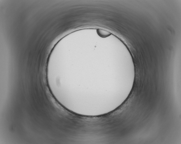 X0000112911534200909211020