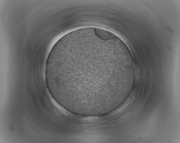 X0000112911535200909211020