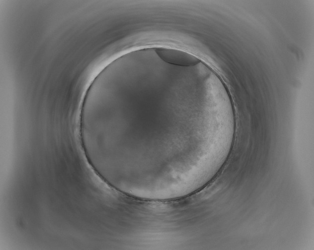 X0000112911536200909211020