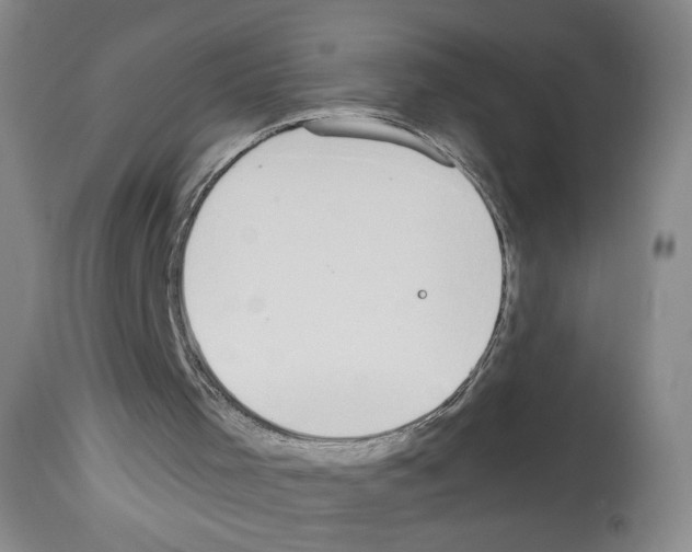 X0000112910001200910051055