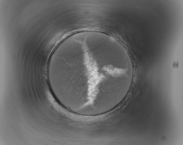 X0000112910002200910051055