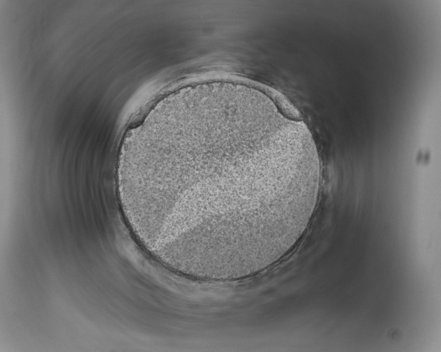 X0000112910004200910051055