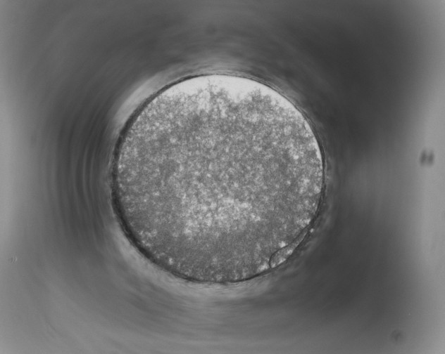 X0000112910007200910051055