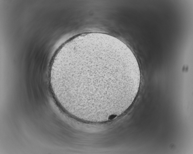 X0000112910008200910051055