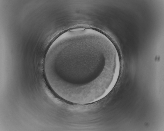 X0000112910009200910051055