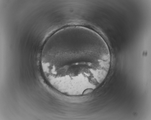 X0000112910010200910051055