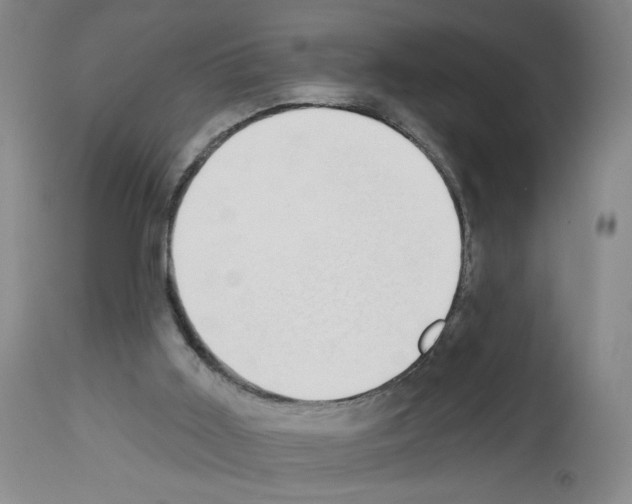 X0000112910011200910051055