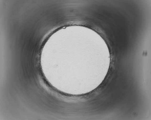 X0000112910012200910051055