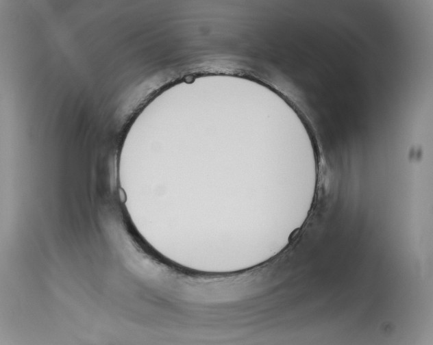 X0000112910013200910051055