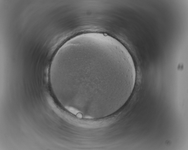 X0000112910014200910051055
