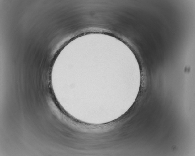 X0000112910015200910051055