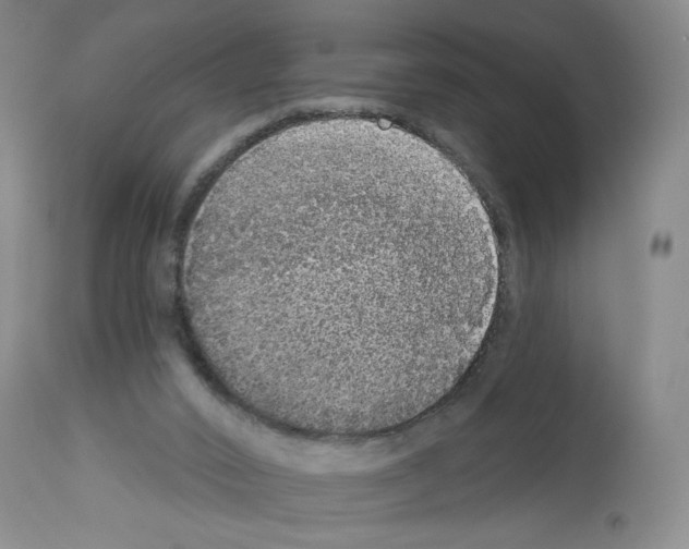 X0000112910016200910051055