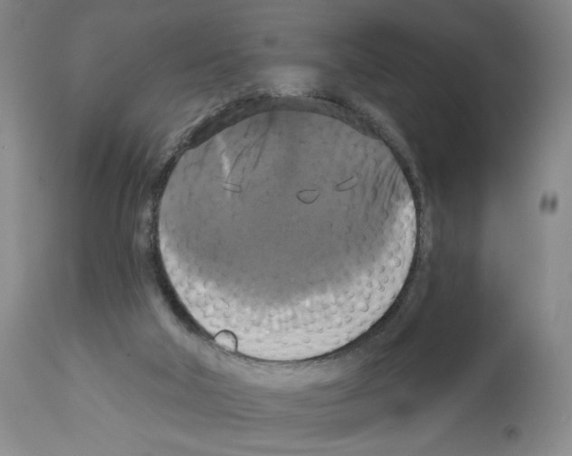 X0000112910018200910051055