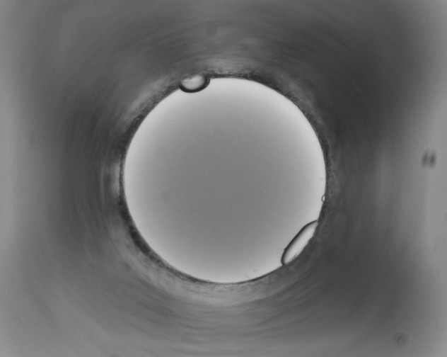 X0000112910019200910051055