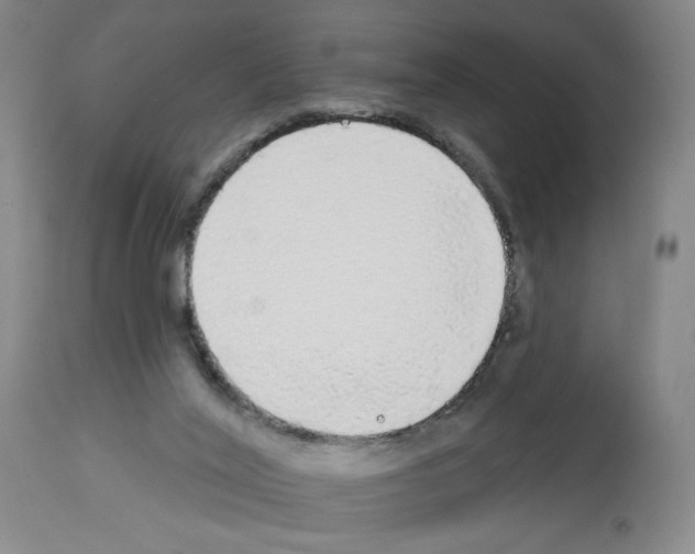 X0000112910020200910051055