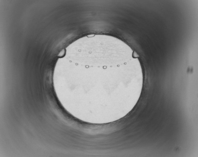 X0000112910021200910051055