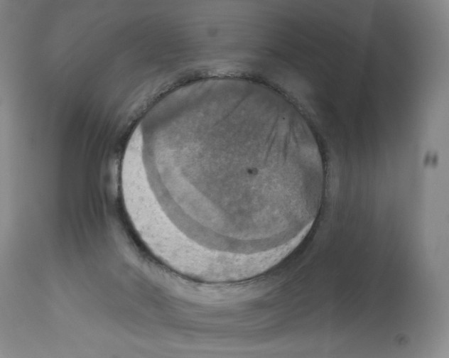 X0000112910022200910051054