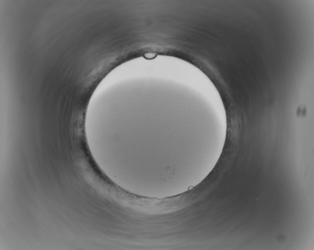 X0000112910023200910051054