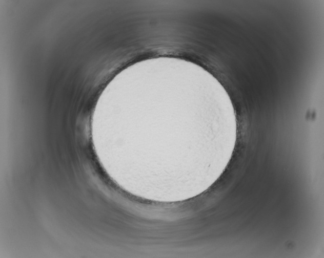 X0000112910028200910051054
