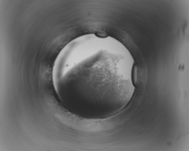 X0000112910029200910051054