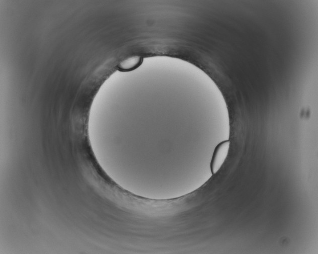 X0000112910031200910051054