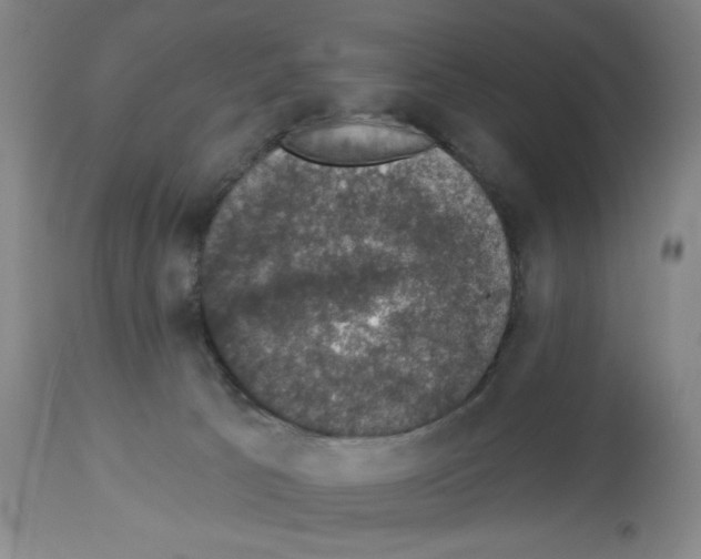 X0000112910033200910051054